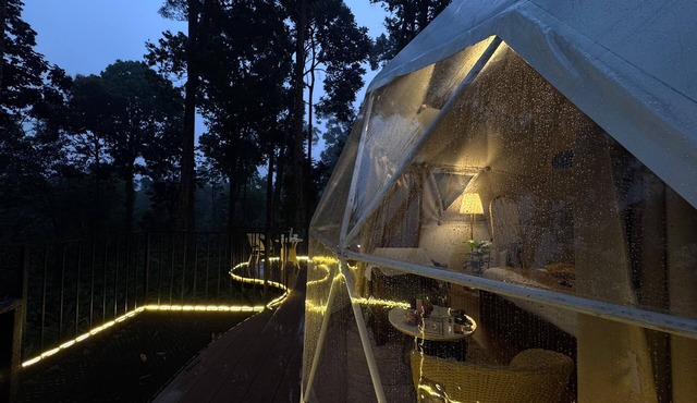Luxury Dome Stay