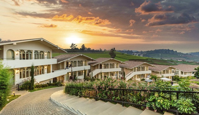 Mango Hill Shola Ooty