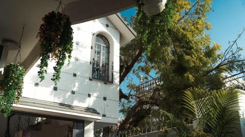 Masanori Homestays- Shivalik villa