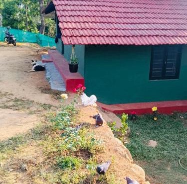 Neeladri Home Stay
