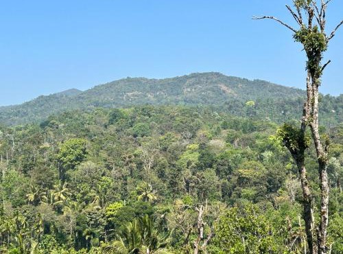 new shivalaya homestay