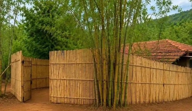 Nisargshala's Cozy Cottages