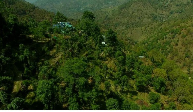 Oak hill homestay