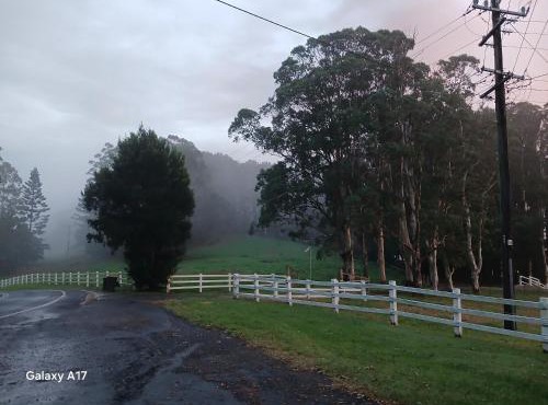 Paddock Shack in Carool