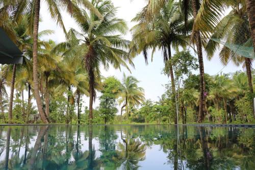 Priti Garden Farmstay, Kelwa Palghar -4 BR farmhouse with pool, pond, games,bbq