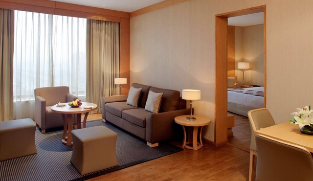 Radisson Blu Hotel New Delhi Dwarka