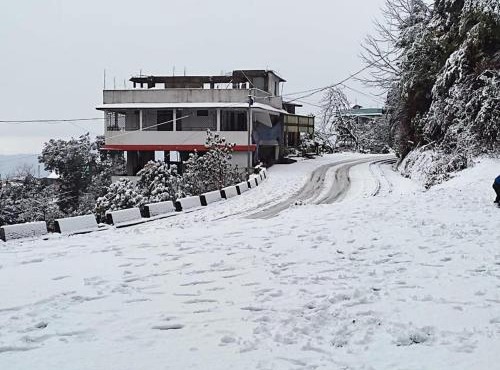 RHODODENDRON stay in Darjeeling
