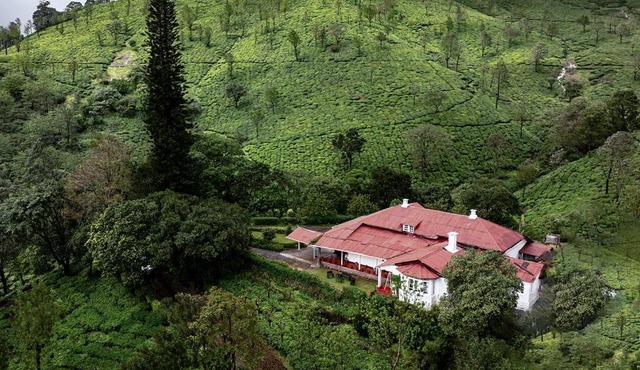 Sereniva Orange Grove Bungalow