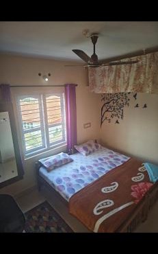 Shaun's misty homestay