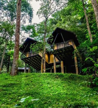 Song Of The Trees Jungle Experience Stay Kutitkanam by LexStays