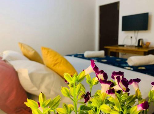 The Bodhi Tree Resort in Morjim