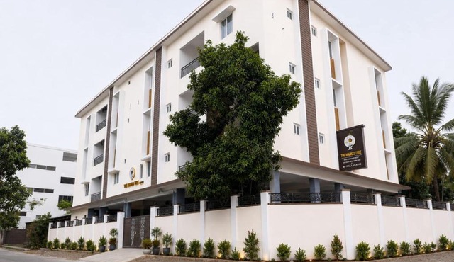 The Mango Tree in Coimbatore