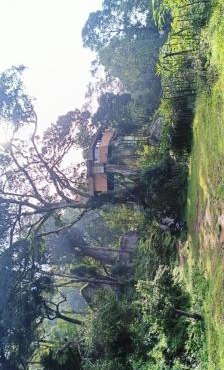 Treefort Junglestay Munnar in Munnar