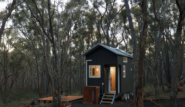 Treetops Tiny Summary in Walmer