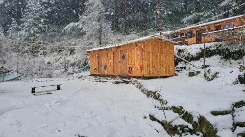 Wolf Stays in Kasol