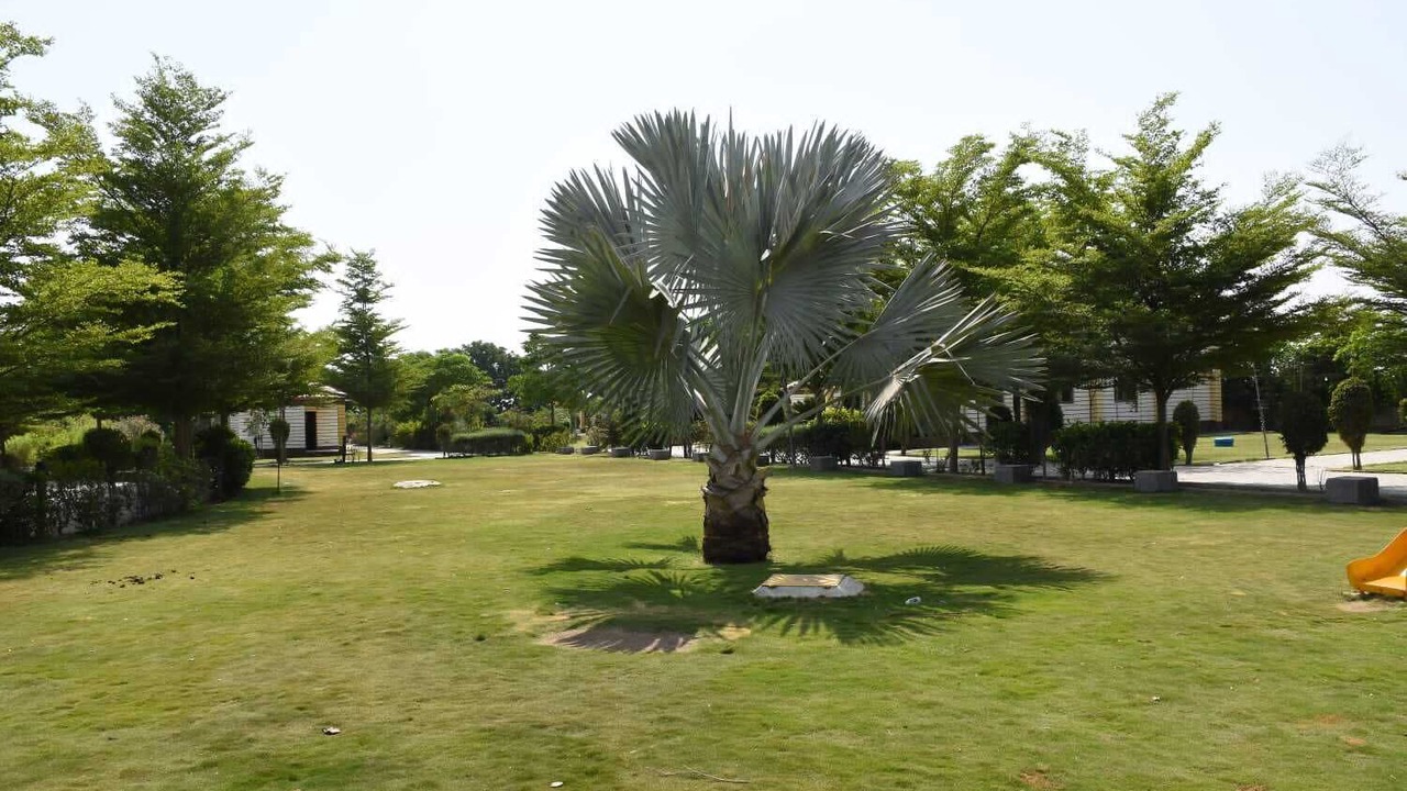 Photo of Outdoor in Ahmedgadh