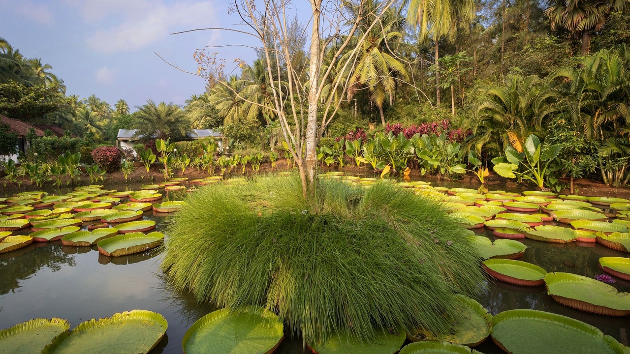 Photo of Outdoor in Dindi