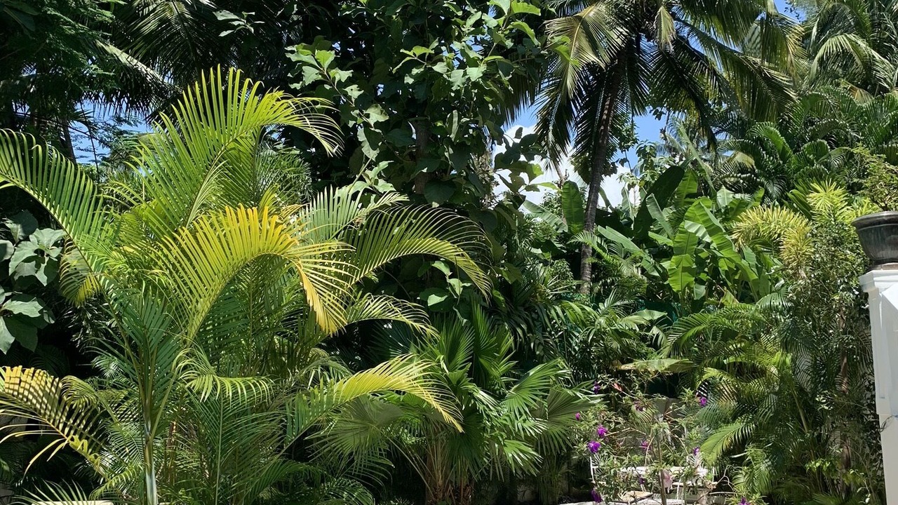 Photo of Outdoor in Canacona
