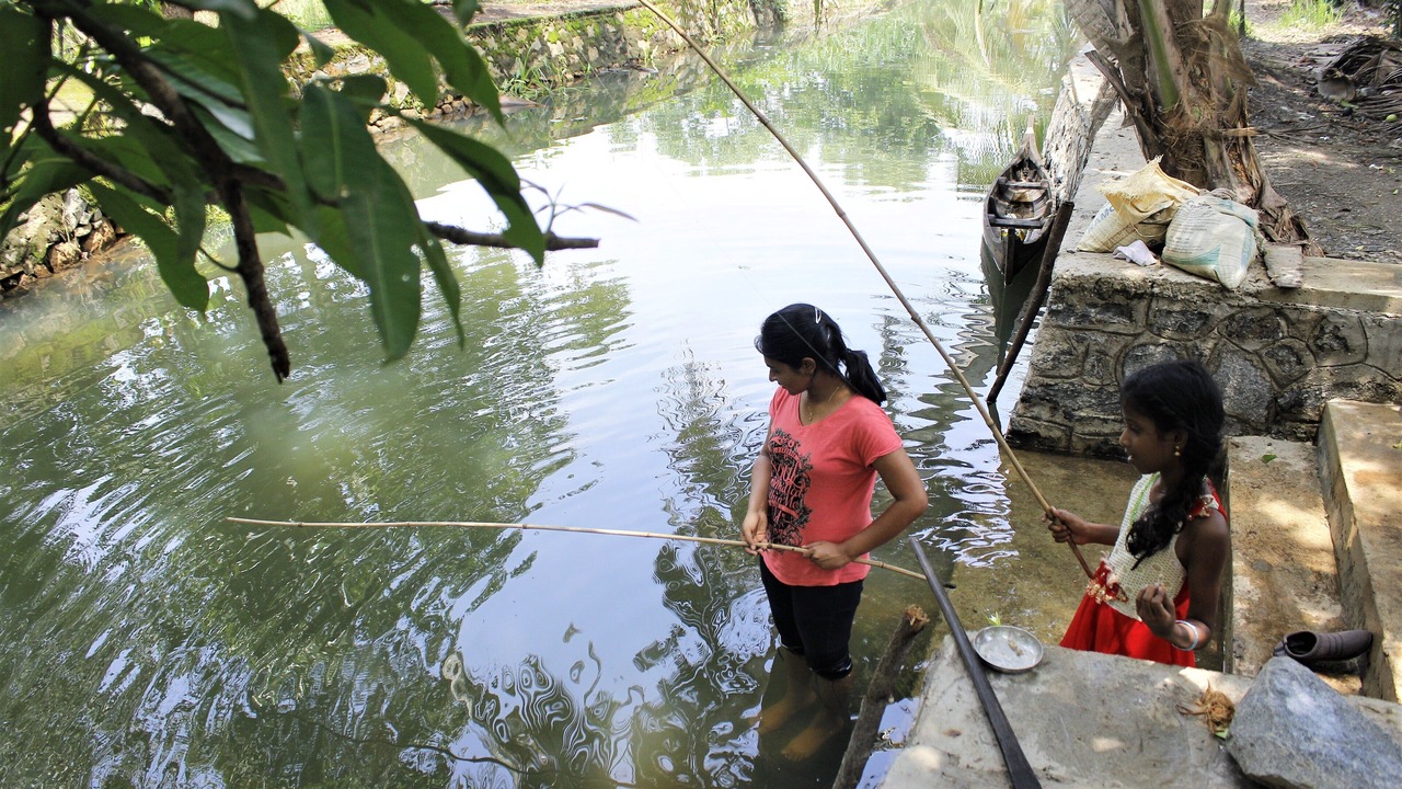Photo of Human In Picture in Vaikam