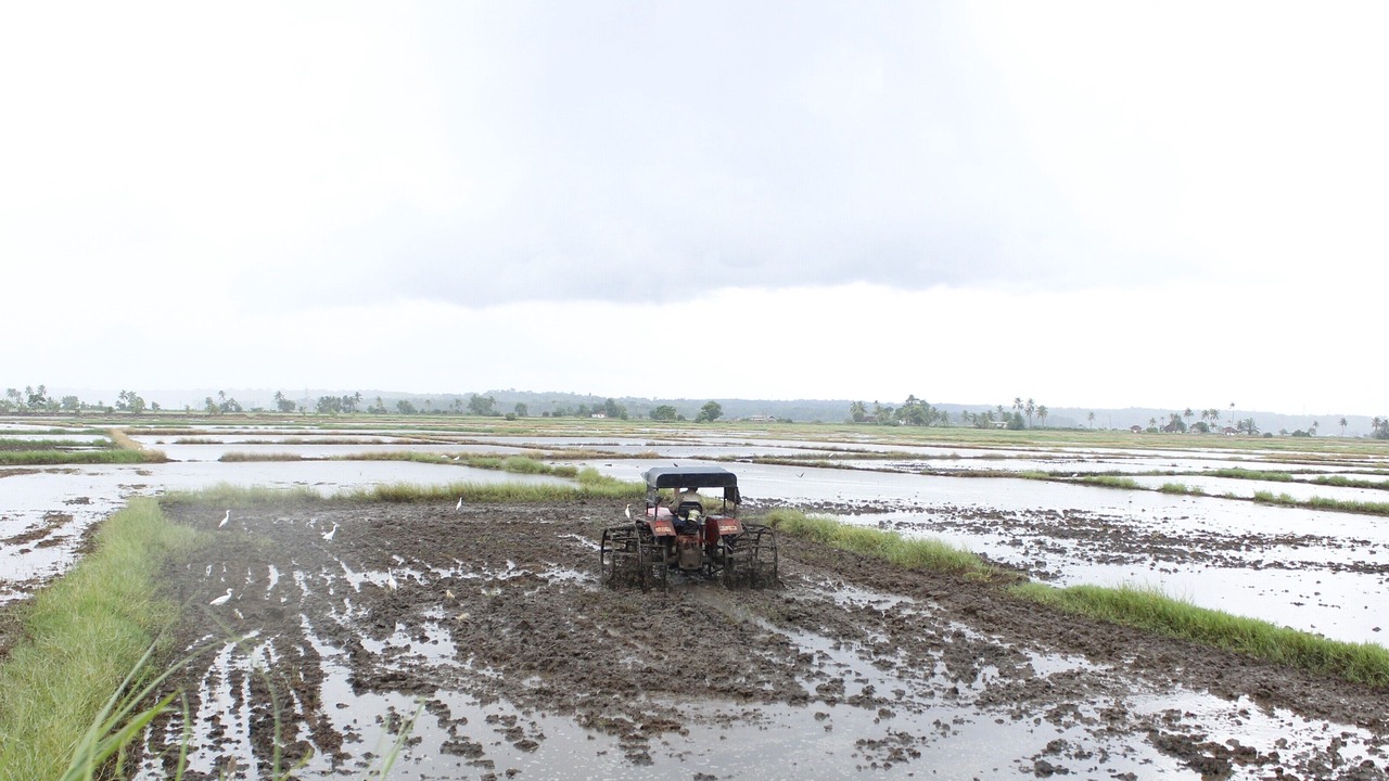 Photo of Outdoor in Vaikam