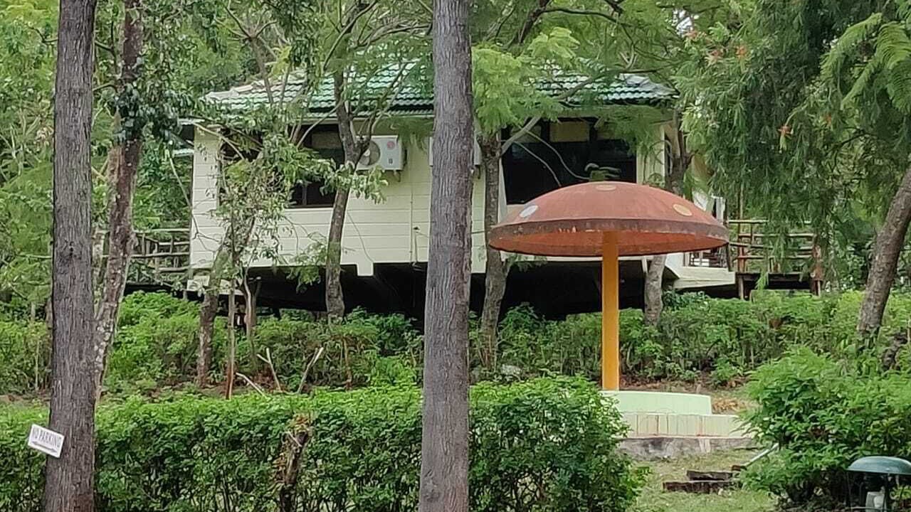 Photo of Outdoor in Masinagudi