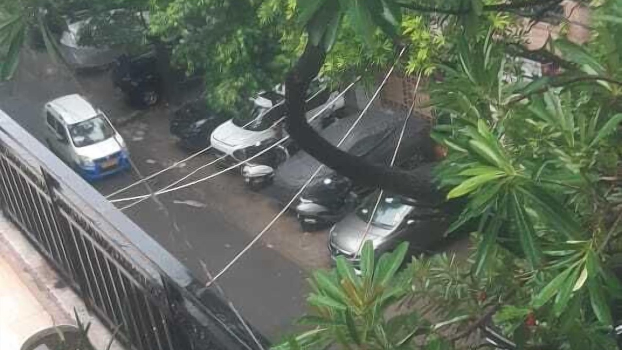 Photo of Outdoor in Vikaspuri