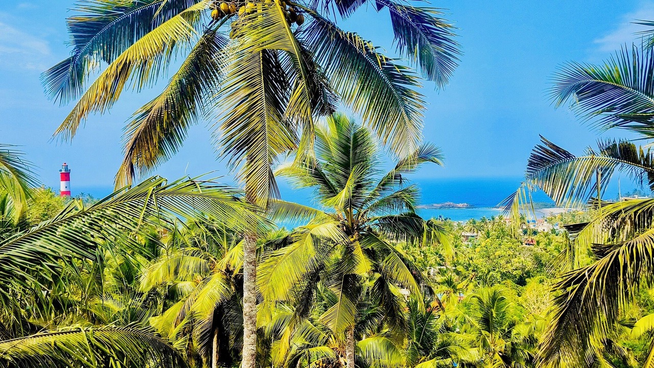 Photo of Patio Balcony in Kovalam