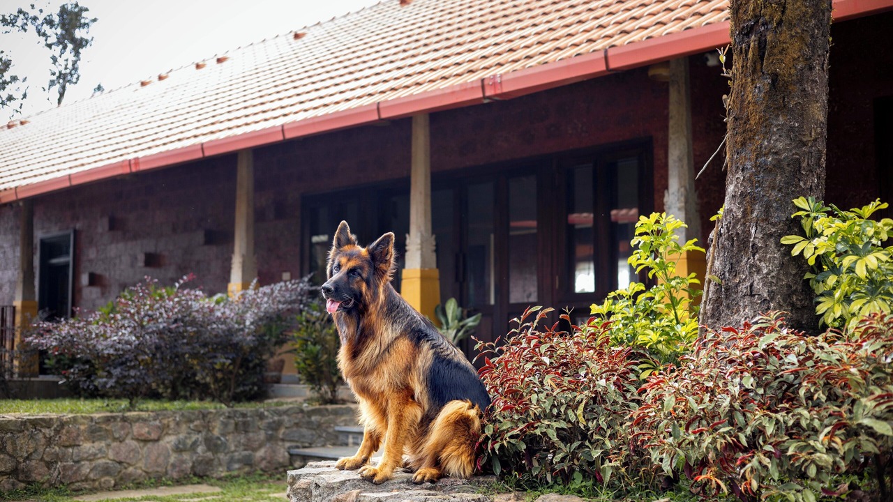 Photo of Others in Madikeri