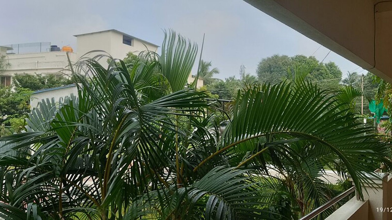 Photo of Outdoor in Kelambakkam