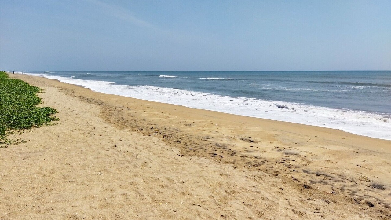 Photo of Others in Chennai