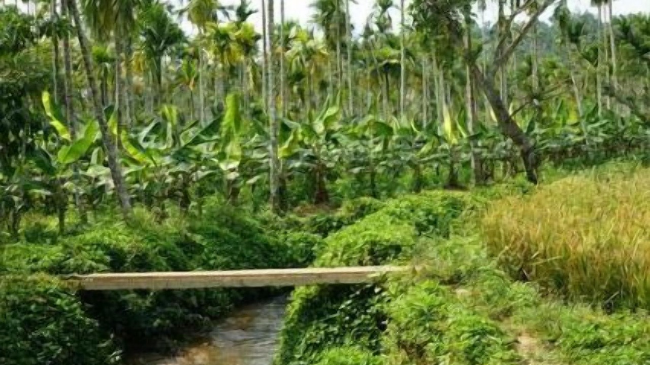Photo of Outdoor in Civil Station
