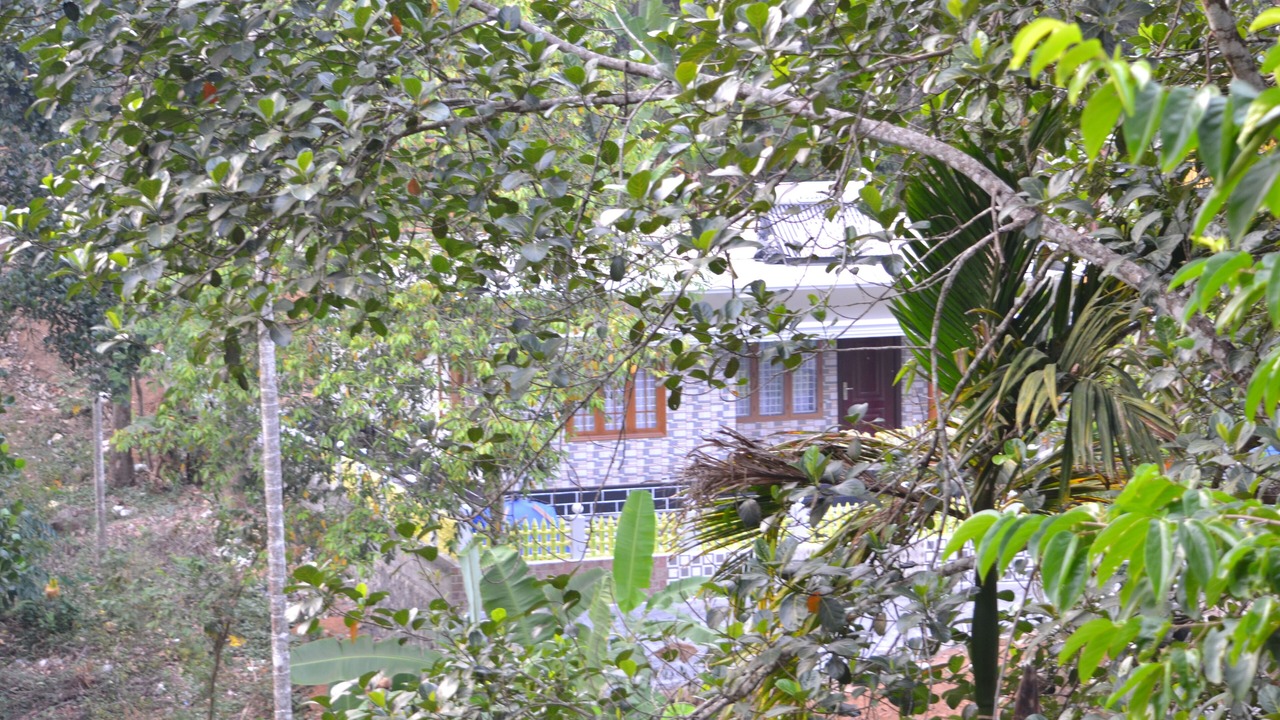 Photo of Outdoor in Anachal