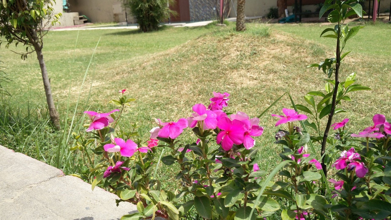 Photo of Outdoor in Amritsar