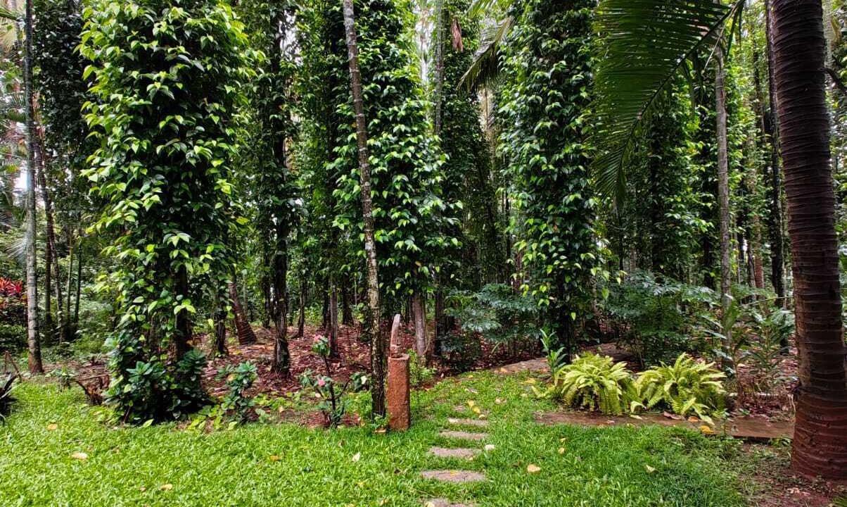 Photo of Outdoor in Agara
