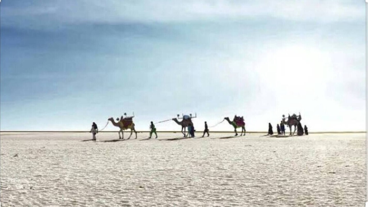 Photo of Others in Bhuj