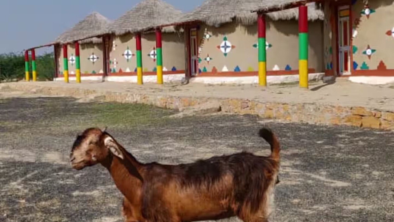 Photo of Others in Bhuj