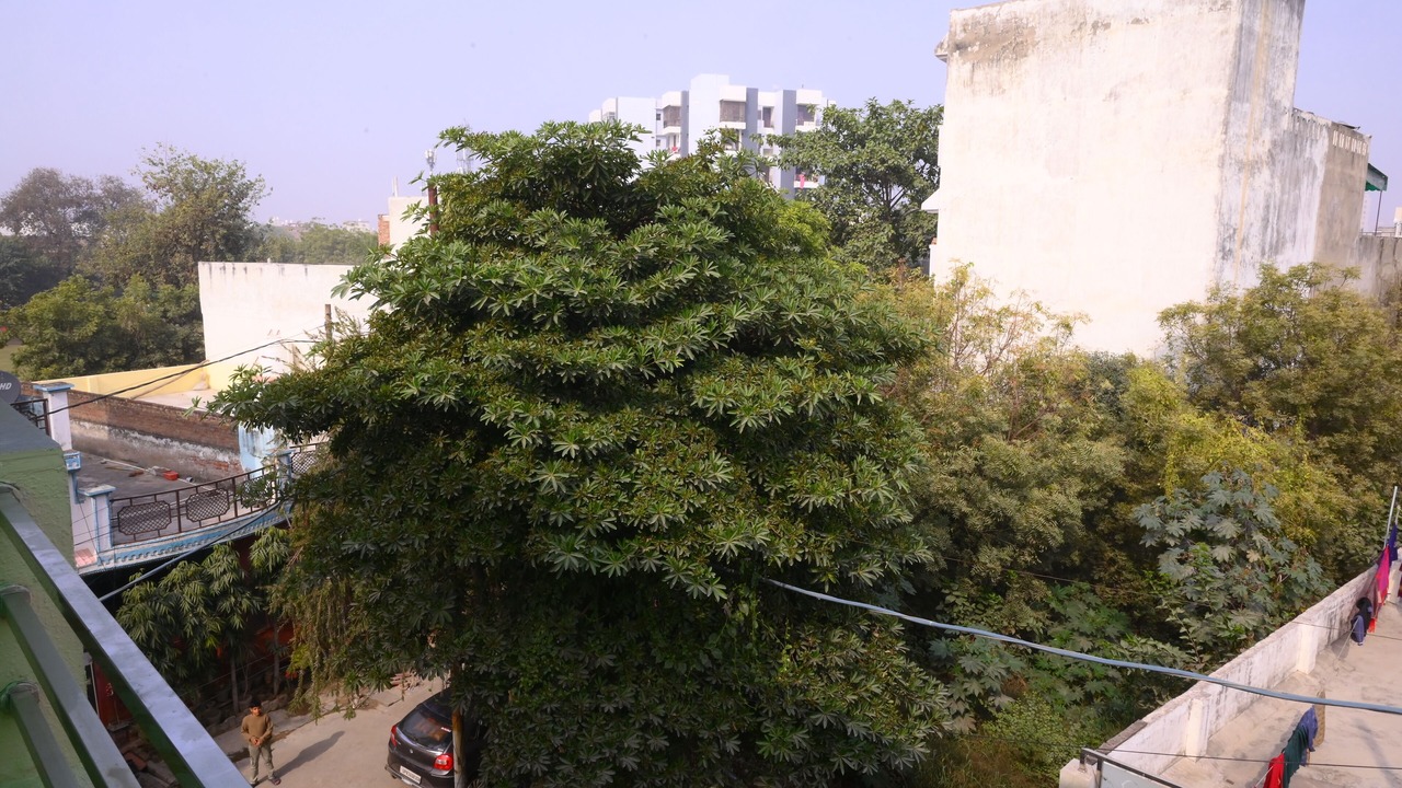 Photo of Outdoor in Agra