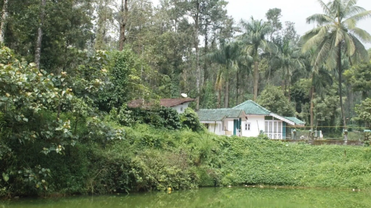 Photo of Outdoor in Stuart Hill