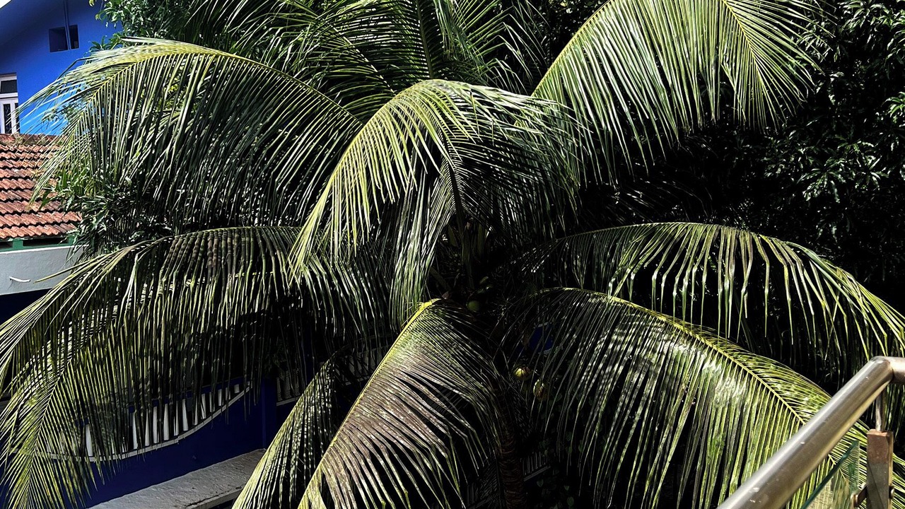 Photo of Outdoor in Benaulim