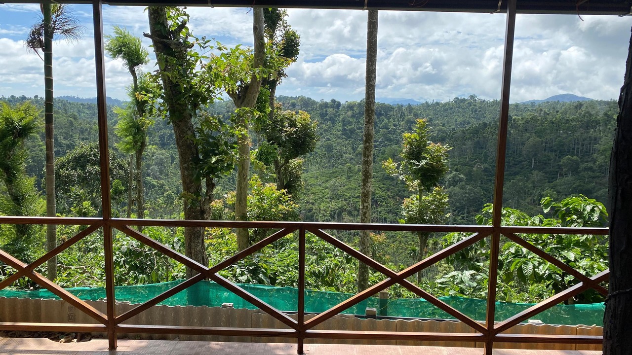 Photo of Outdoor in Vayittiri