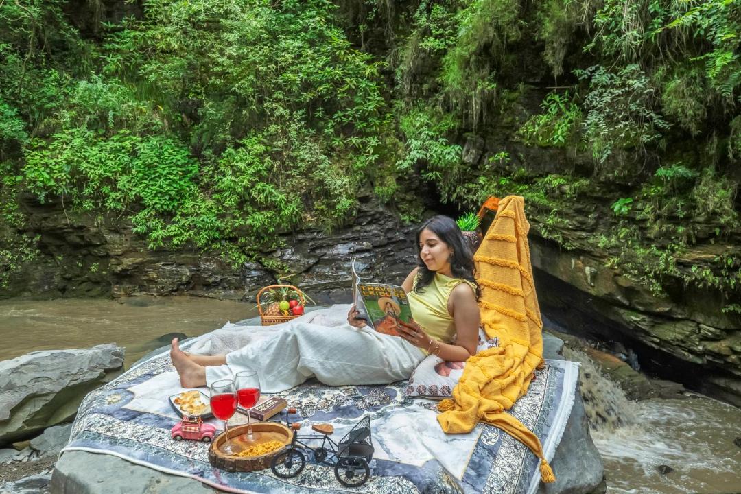 Photo of Others in Solan