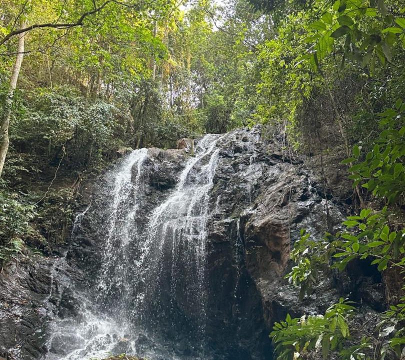 Photo of Others in Chikkamagaluru