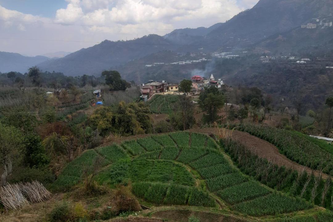 Photo of Others in Solan