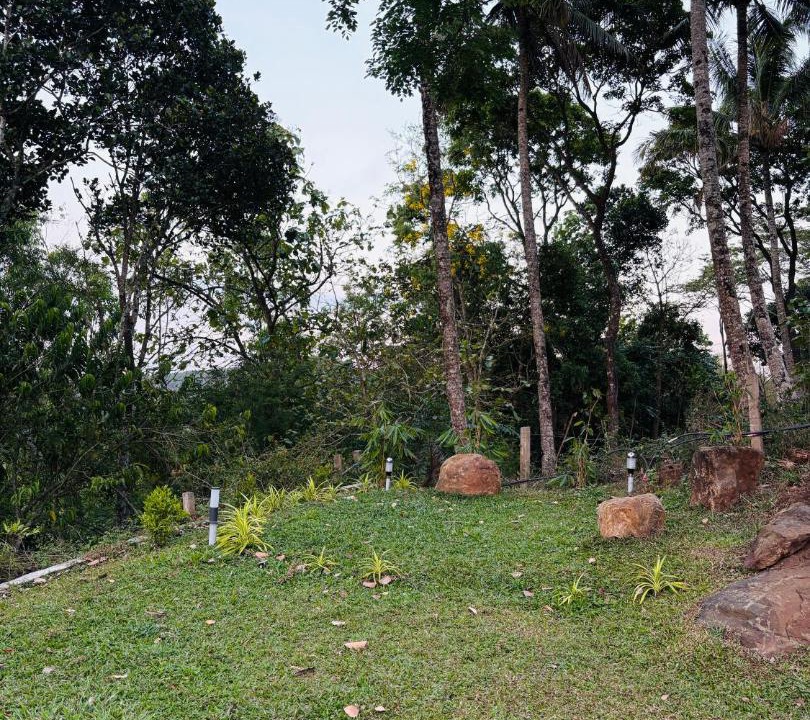 Photo of Others in Ramakkalmedu