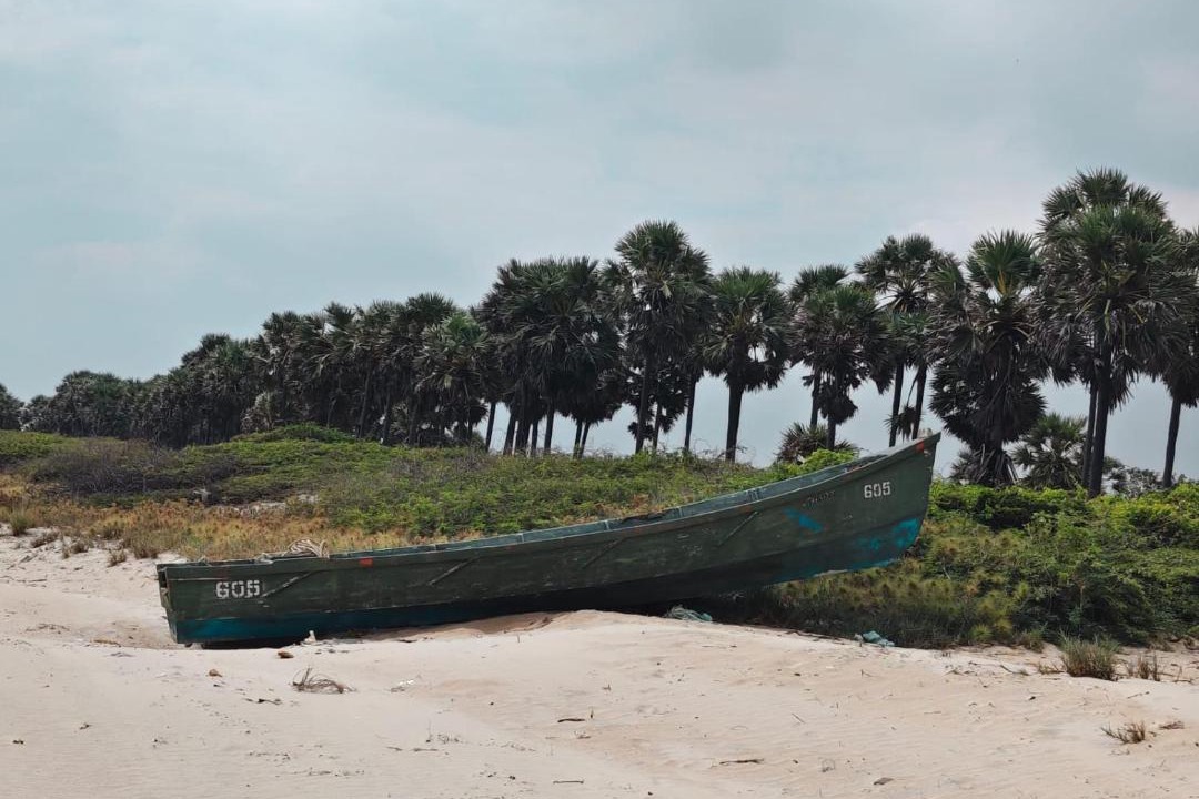 Photo of Others in Mudukulattur