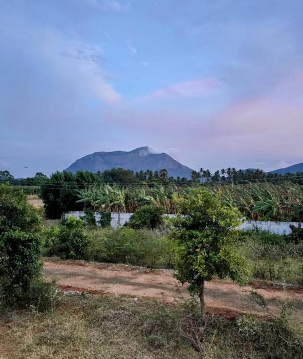 Photo of Others in Coimbatore