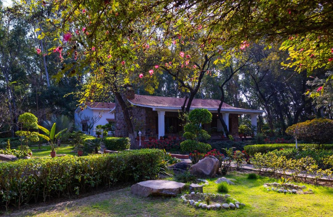 Photo of Others in Faridabad