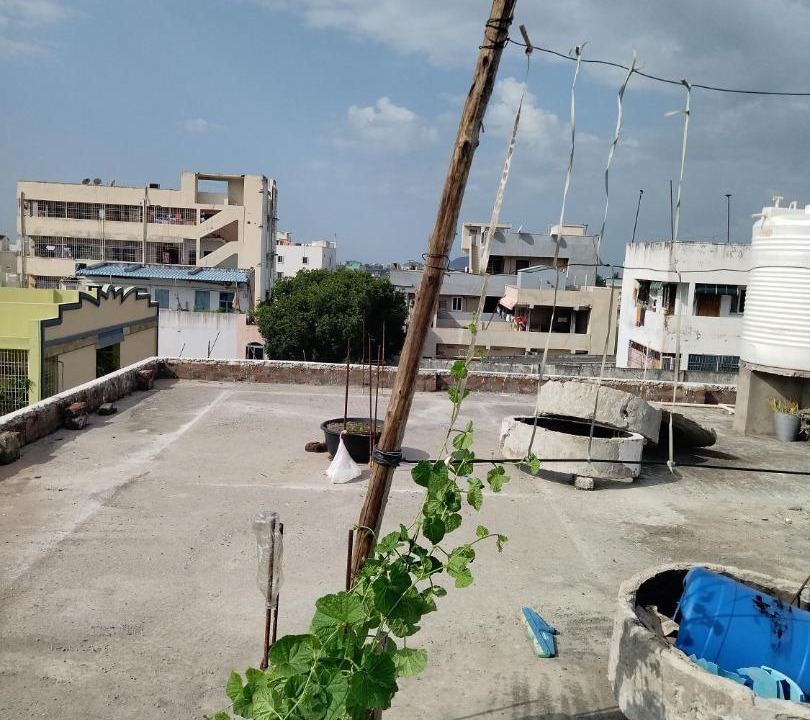 Photo of Others in Vijayawada