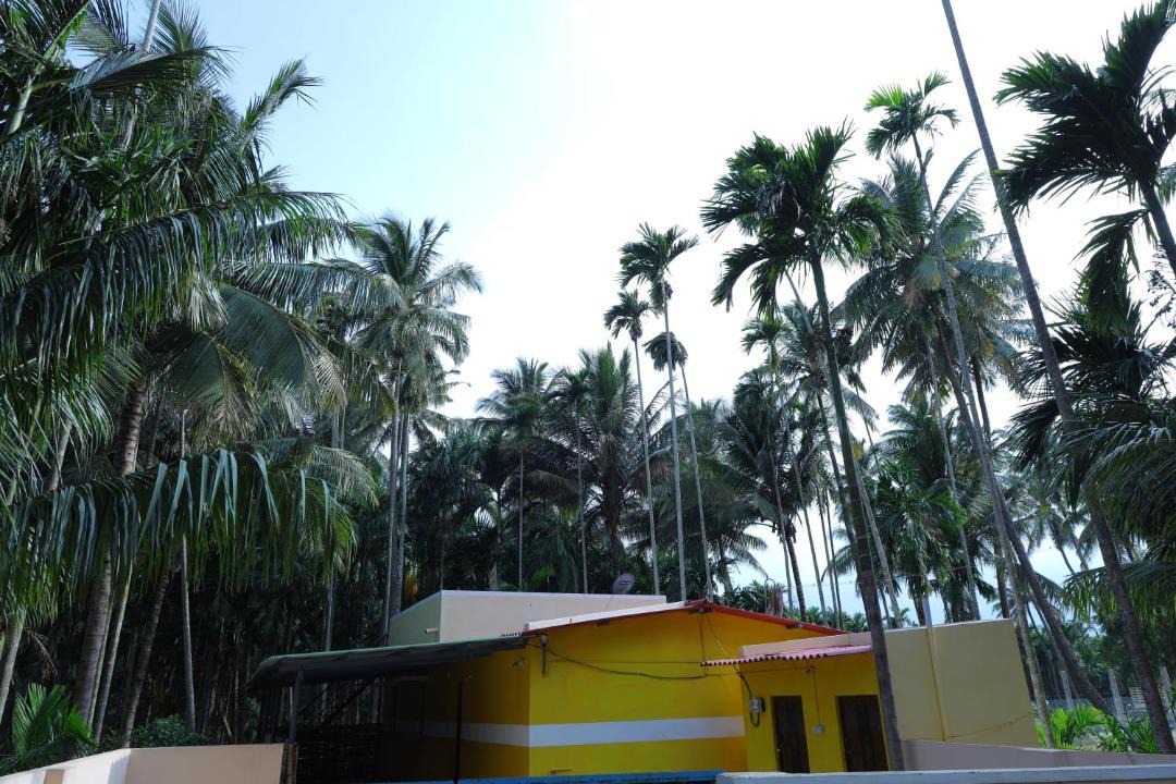 Photo of Others in Coimbatore