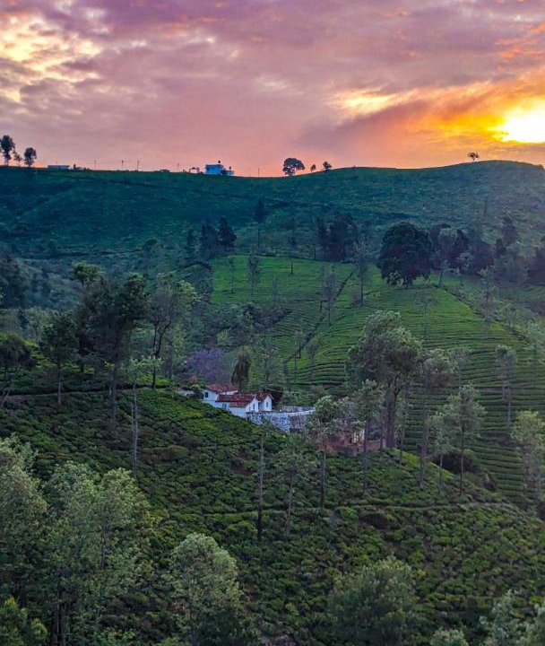 Photo of Others in Coonoor